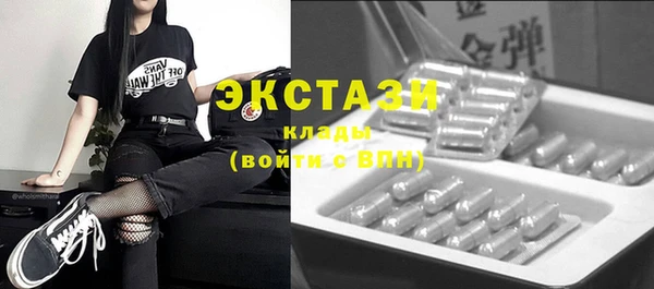 индика Гусев