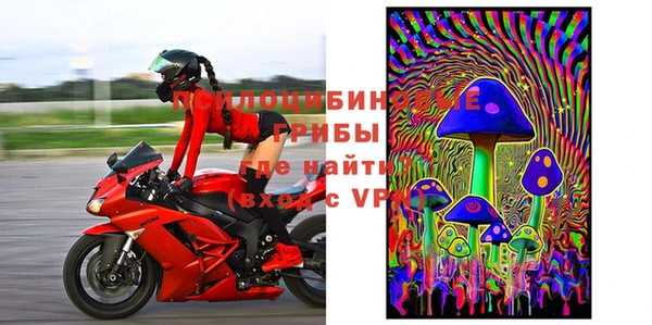 PSILOCYBIN Мегион