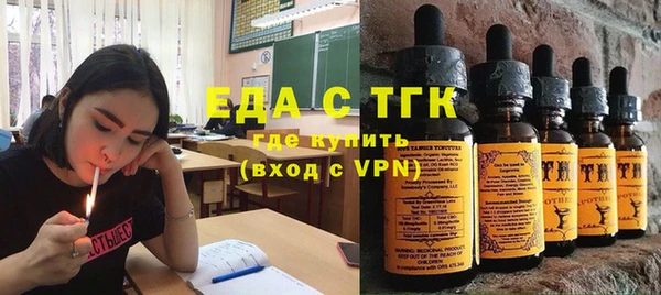 индика Гусев