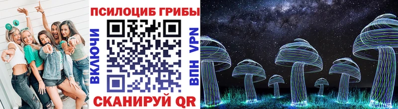 Галлюциногенные грибы Cubensis Джанкой