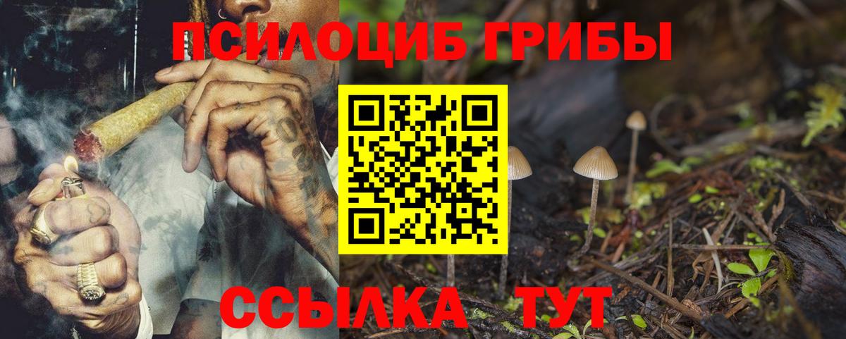Галлюциногенные грибы GOLDEN TEACHER Джанкой
