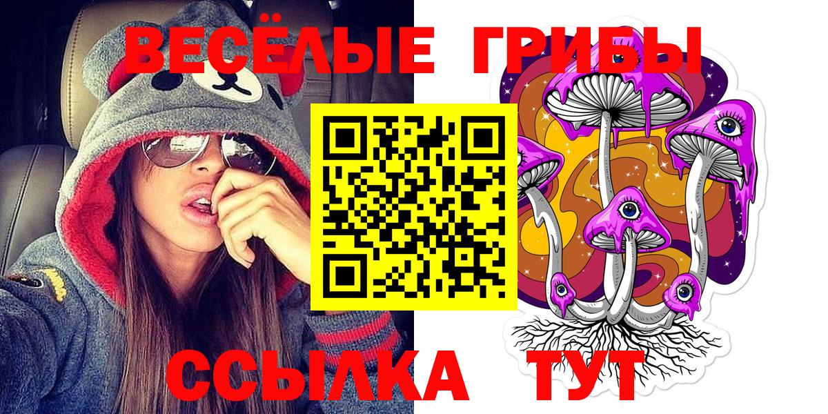 Псилоцибиновые грибы GOLDEN TEACHER  Галлюциногенные грибы мухоморы  Джанкой  даркнет сайт  Вход с VPN 